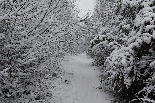 A winter wonderland in Barton Seagrave. Photo: Jo Bishop