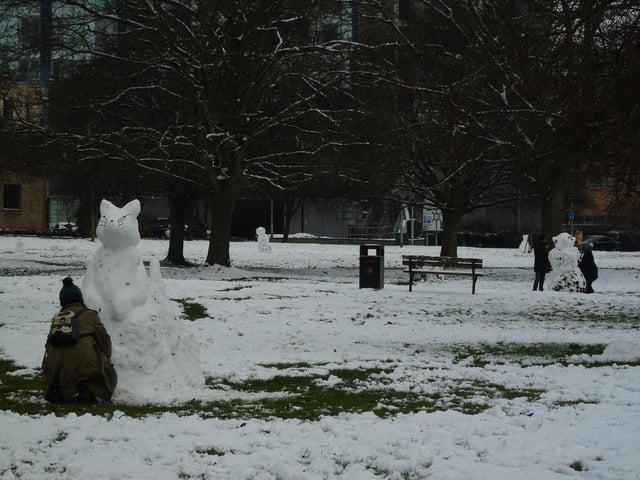 Jordan Lewington took this picture on Sunday in Health Park