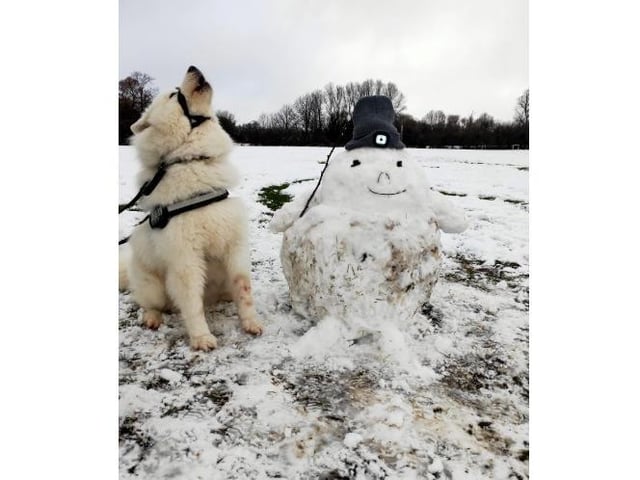 A dog and snowman, sent in by Yiran Yin
