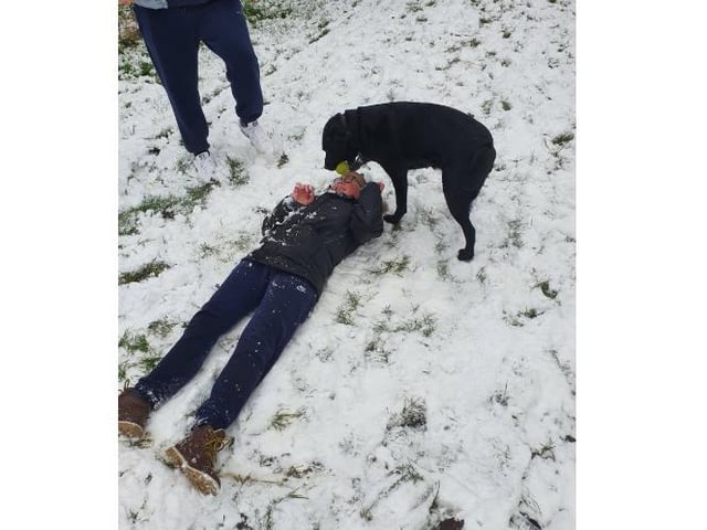 Jolene Clark sent in this picture of her dog also enjoying the snow in the field along Fletcher Way