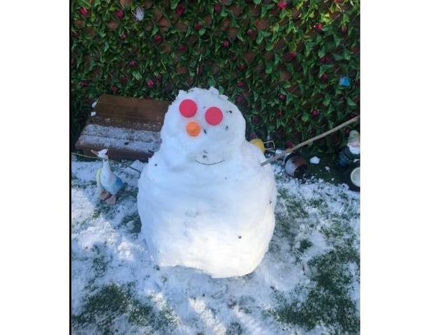 Stacey Loveday-Phillips's children made this snowman