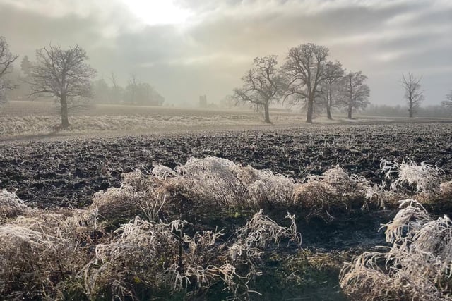 Reader Sherry Kelly sent us this wintry pic of a walk around Putteridge Bury