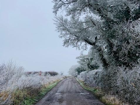 Reader Heidi Bains captured this frosty roadside