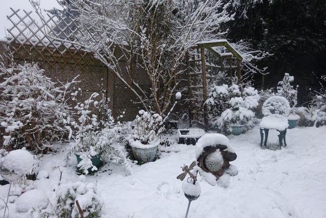 Reader Doreen Steinberg sent us this image of a snow-covered garden