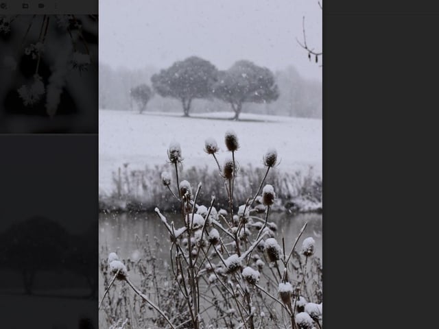 Samantha Kettle sent in these shots on a walk from Orton Mere to Ferry Meadows.