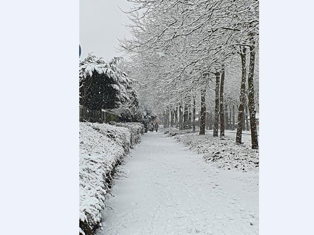 Susan Potter send in this picturesque scene from Southwell Avenue, Werrington