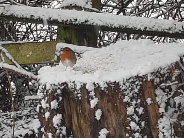 Samantha Kettle sent in these shots on a walk from Orton Mere to Ferry Meadows.