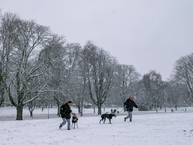 Becket's Park in the snow. Photo: Leila Coker