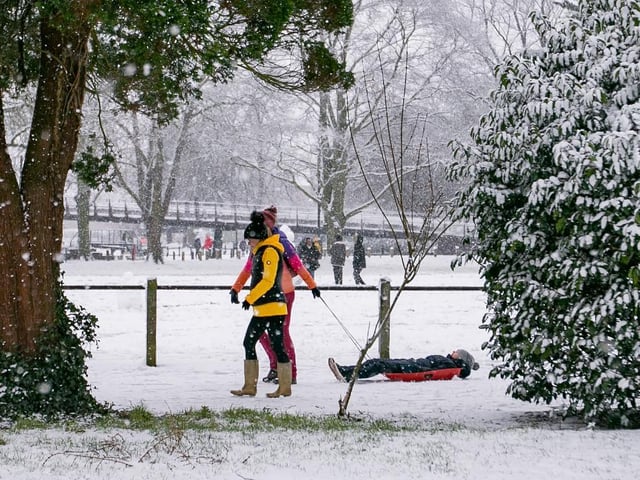 Becket's Park in the snow. Photo: Leila Coker