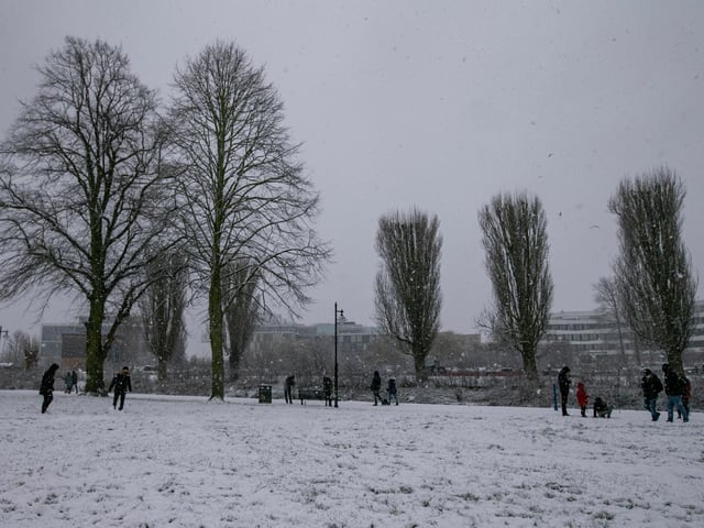 Becket's Park in the snow. Photo: Leila Coker