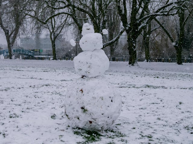 Becket's Park in the snow. Photo: Leila Coker