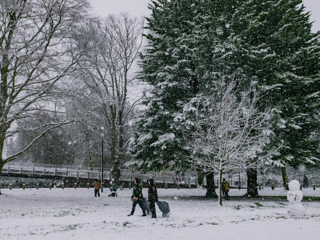 Becket's Park in the snow. Photo: Leila Coker