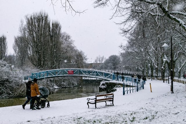 Becket's Park in the snow. Photo: Leila Coker
