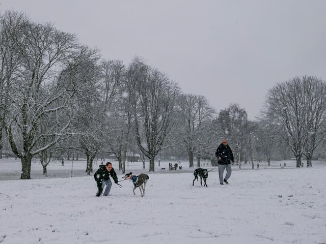 Becket's Park in the snow. Photo: Leila Coker