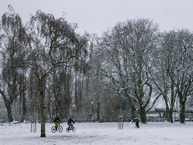 Becket's Park in the snow. Photo: Leila Coker