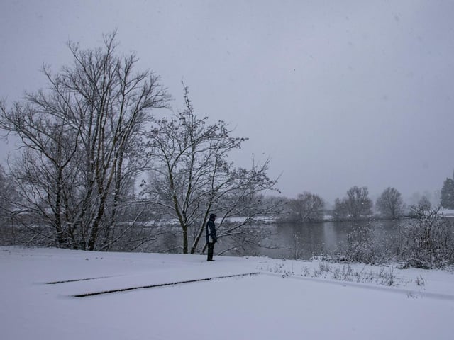 Billing Marina. Photo: Leila Coker