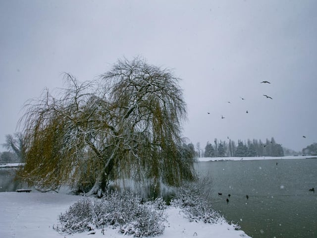 Billing Marina. Photo: Leila Coker