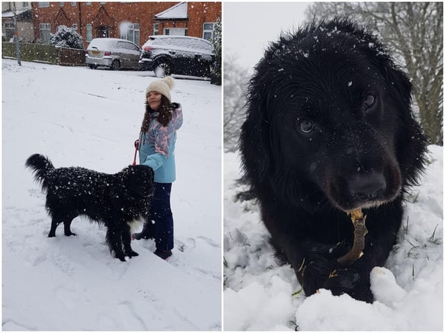 Nicole and Rhodi enjoy the snow in Abington Park. Photos by Katarzyna Uszynska