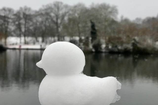 A rare but perfectly-formed snow duck, courtesy of @Allotment_Joss on Twitter