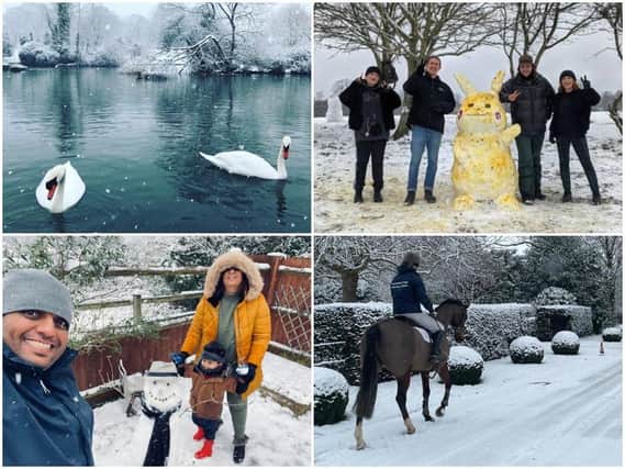 Swans, Pikachu, a 'snelfie' and a horse ride in the snow. Photos clockwise from top left courtesy of Gem Scouse, Abby Munns, Pooja Hirani and Sophia Murphy
