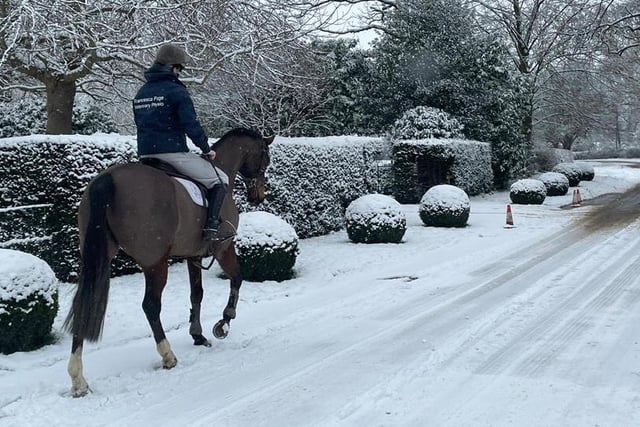 Sophia Murphy, 17, on a horse ride in the snow