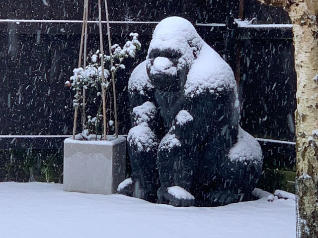 Becci Woods wrote on Twitter: "Not all of us are cut out for this weather! Dennis looks most unimpressed this morning!"