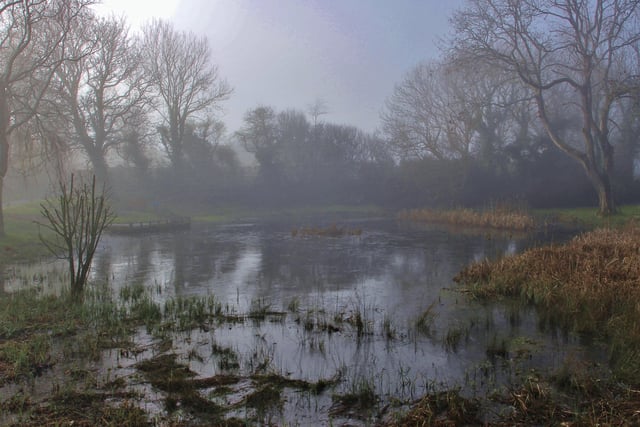 Eileen Kilgour captured the mist at Friston Pond with a Canon 100D. SUS-210127-142502001