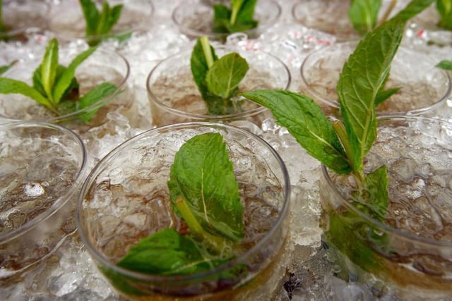 Quarantinis, based in Northampton, has a load of different pre-made cocktails available to order and have delivered to your door, including frozen drinks and a two for £9 deal on mojitos. For more information, visit instagram.com/quarantinisx. Photo: Getty Images/stock