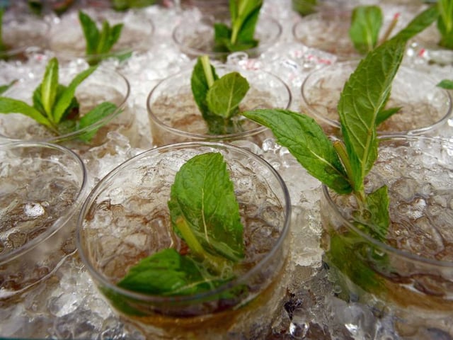 Quarantinis, based in Northampton, has a load of different pre-made cocktails available to order and have delivered to your door, including frozen drinks and a two for £9 deal on mojitos. For more information, visit instagram.com/quarantinisx. Photo: Getty Images/stock