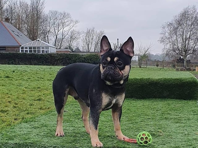 Neil Ralph sent in this picture of Milo