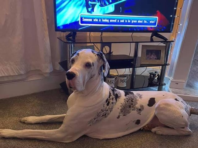 Thank you to Dionne Greenwood for sharing this picture