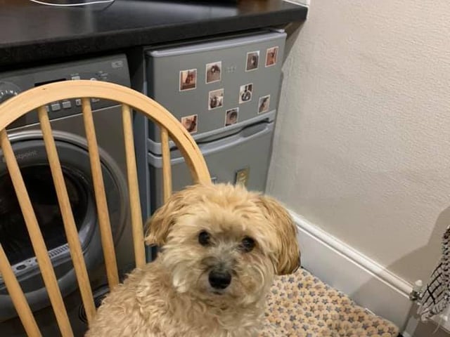 Elaine Allix sent in this picture of Ted