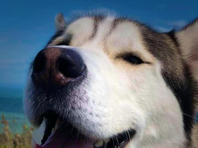 Carmen Seymour sent in this smiley picture