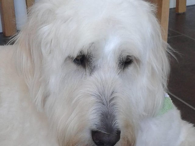 Clare O'neill sent in this picture of Maisie