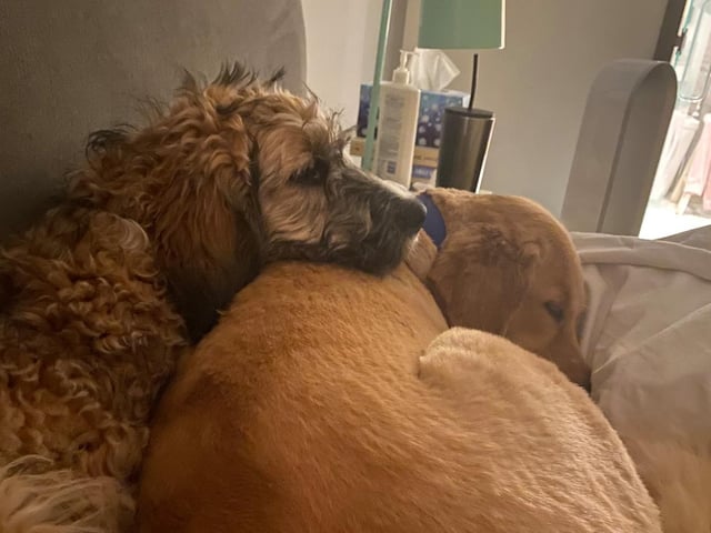 Thank you to Gary Kristian Hopkins for sharing this picture of Tessa and Evie