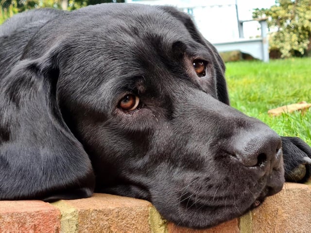Chris Thwaites shared this adorable photo