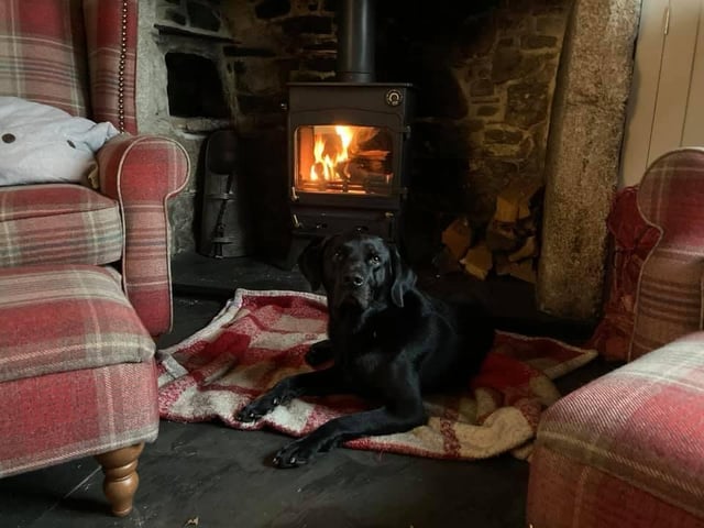 Allan Thwaites shared this picture of his dog