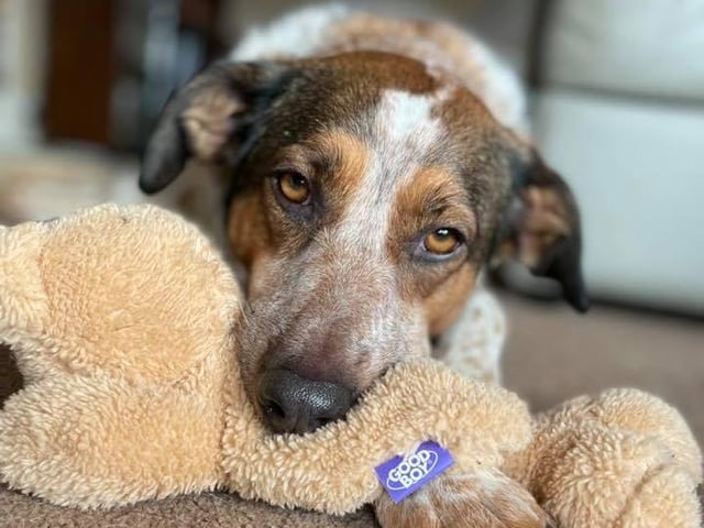 This is one of two photos that Helen Grinstead sent in