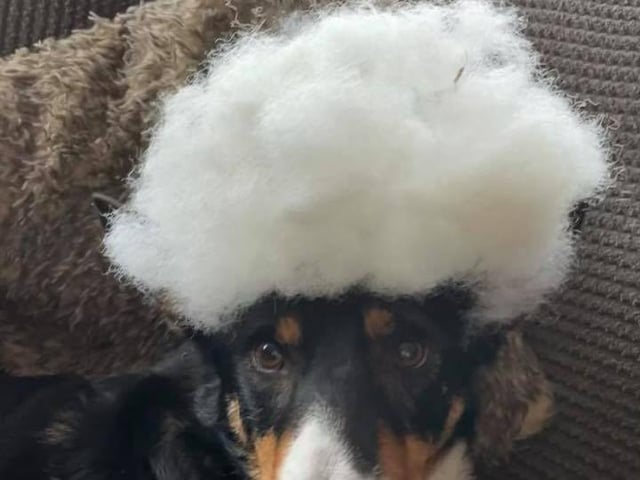Helen Grinstead also sent in this one