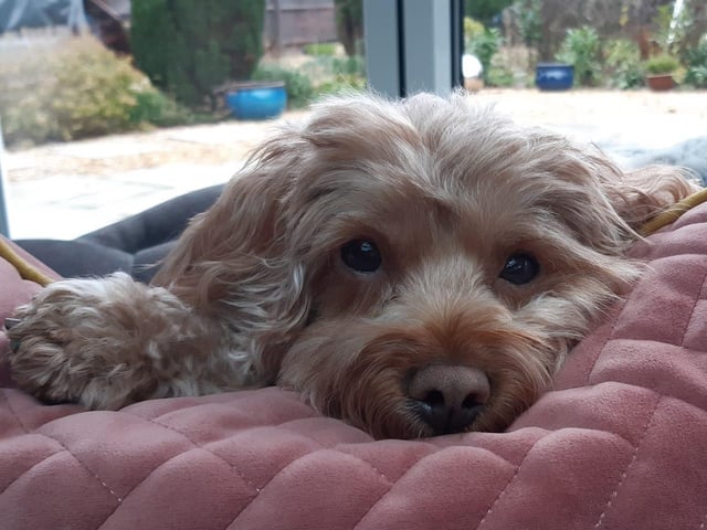 Thank you to Louisa Maitland for sharing this adorable picture