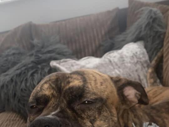 Olivia Anstiss sent in this photo of Prince