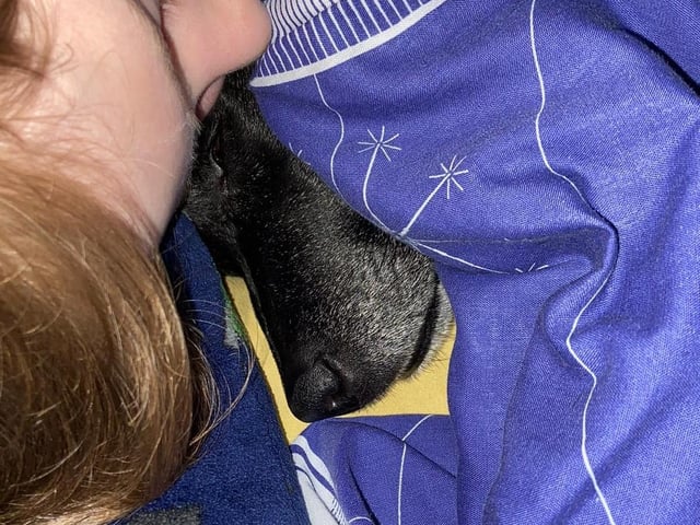 Louise Lou Skillicorn enjoys snuggles with Jessie