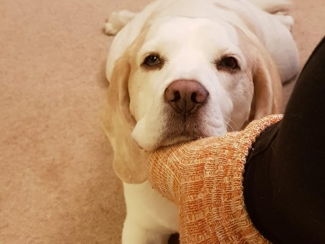 A lovely picture of Brian sent in by Zoe Saunders