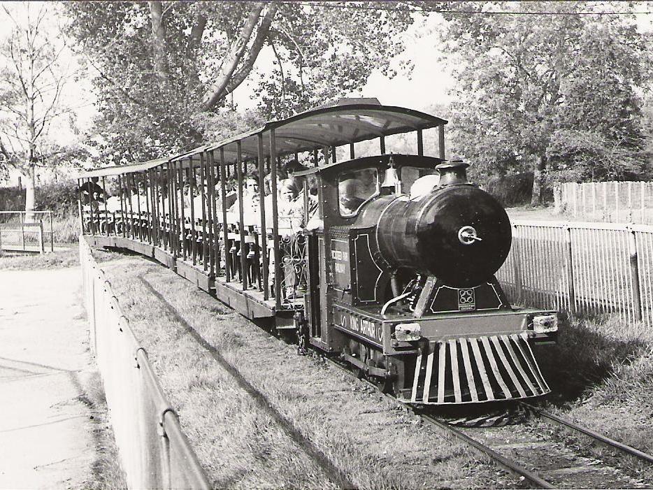 Wicksteed Park 100 years