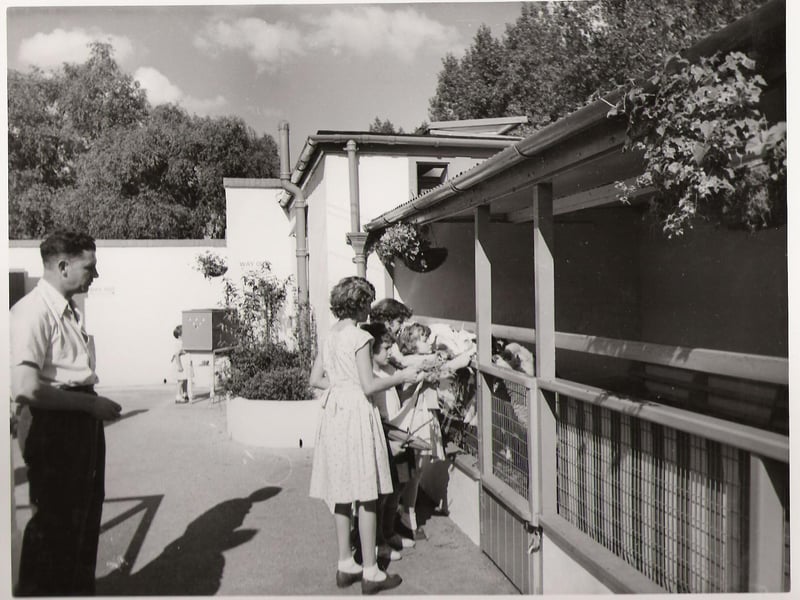 Wicksteed Park 100 years