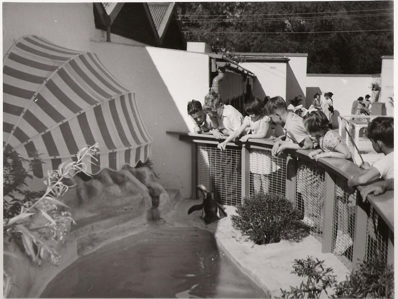 Wicksteed Park 100 years