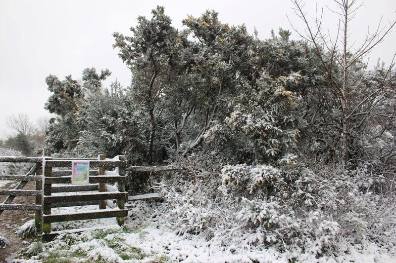 Snow in Hastings. Picture by Kevin Boorman SUS-210702-142116001