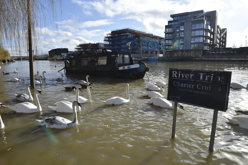 Flooding at  Peterborough Embankment on  the River Nene earlier this year: Picture David Lowndes
