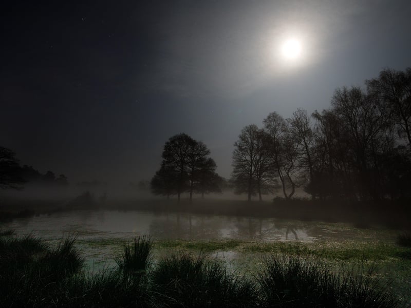 'By the Light of the Silvery Moon' by David Oldman- winner of the Magnificent Moon Catergory