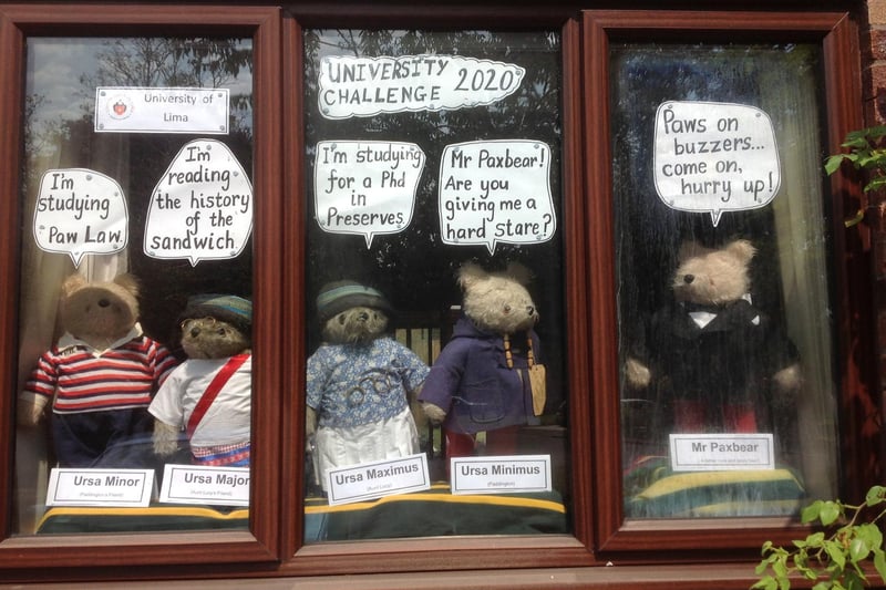 University Challenge Paddington Bear window display created by Lindy Gascoigne, who is a teacher at St Mary's Primary School in Banbury